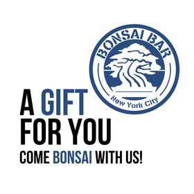 Premium Ticket - Gift Card