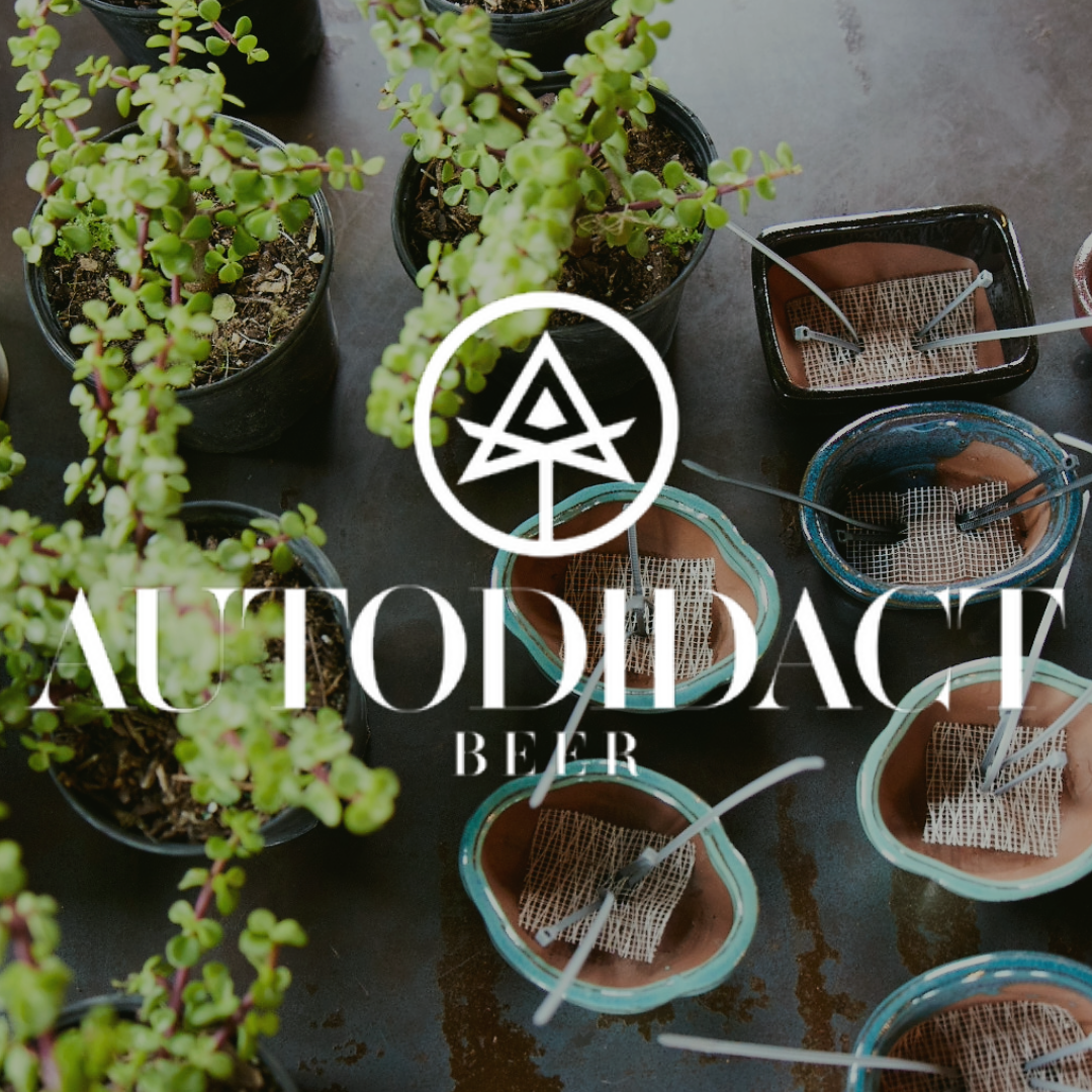 Autodidact Beer Bonsai Bar