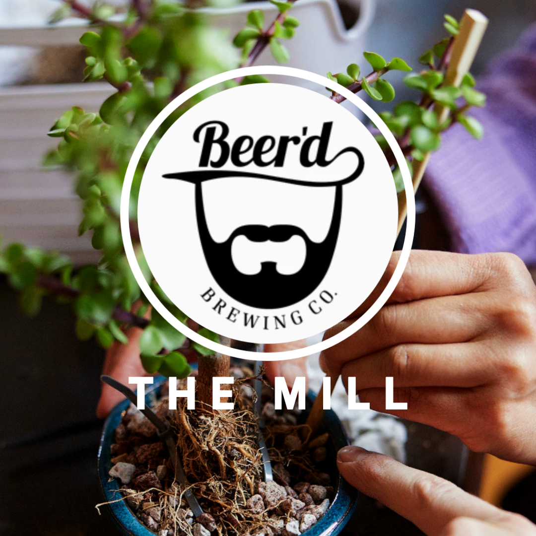 Bonsai Bar II: Repotting @ Beer'd - The Mill