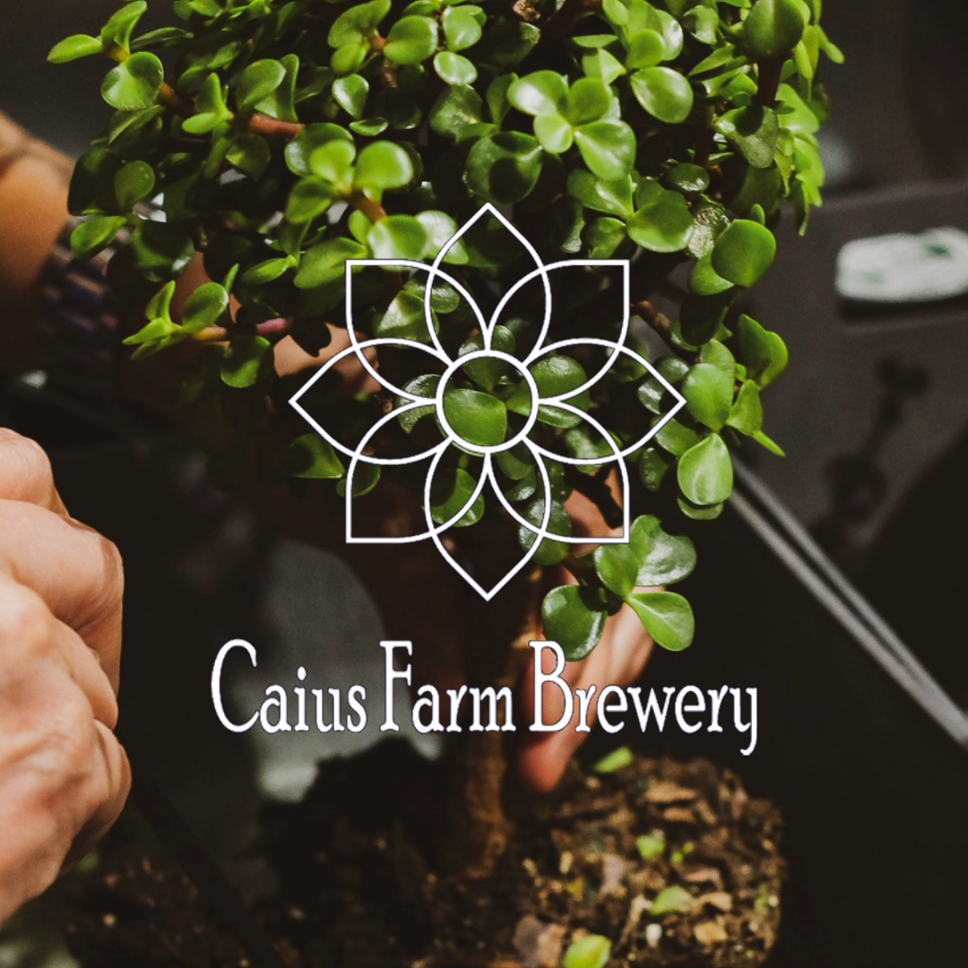 Caius Farm Brewery Bonsai Bar