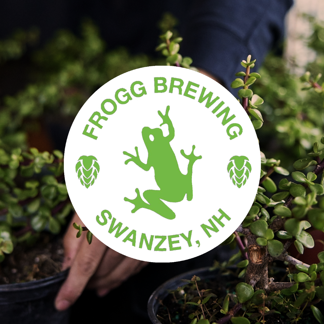 Frogg Brewing Bonsai Bar