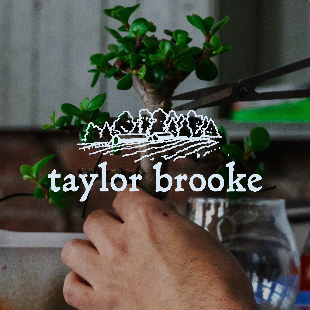 Taylor Brooke Brewery Bonsai Bar