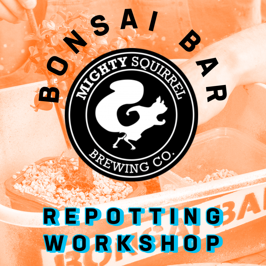 Bonsai Bar II: Repotting @ Mighty Squirrel Brewing Co.