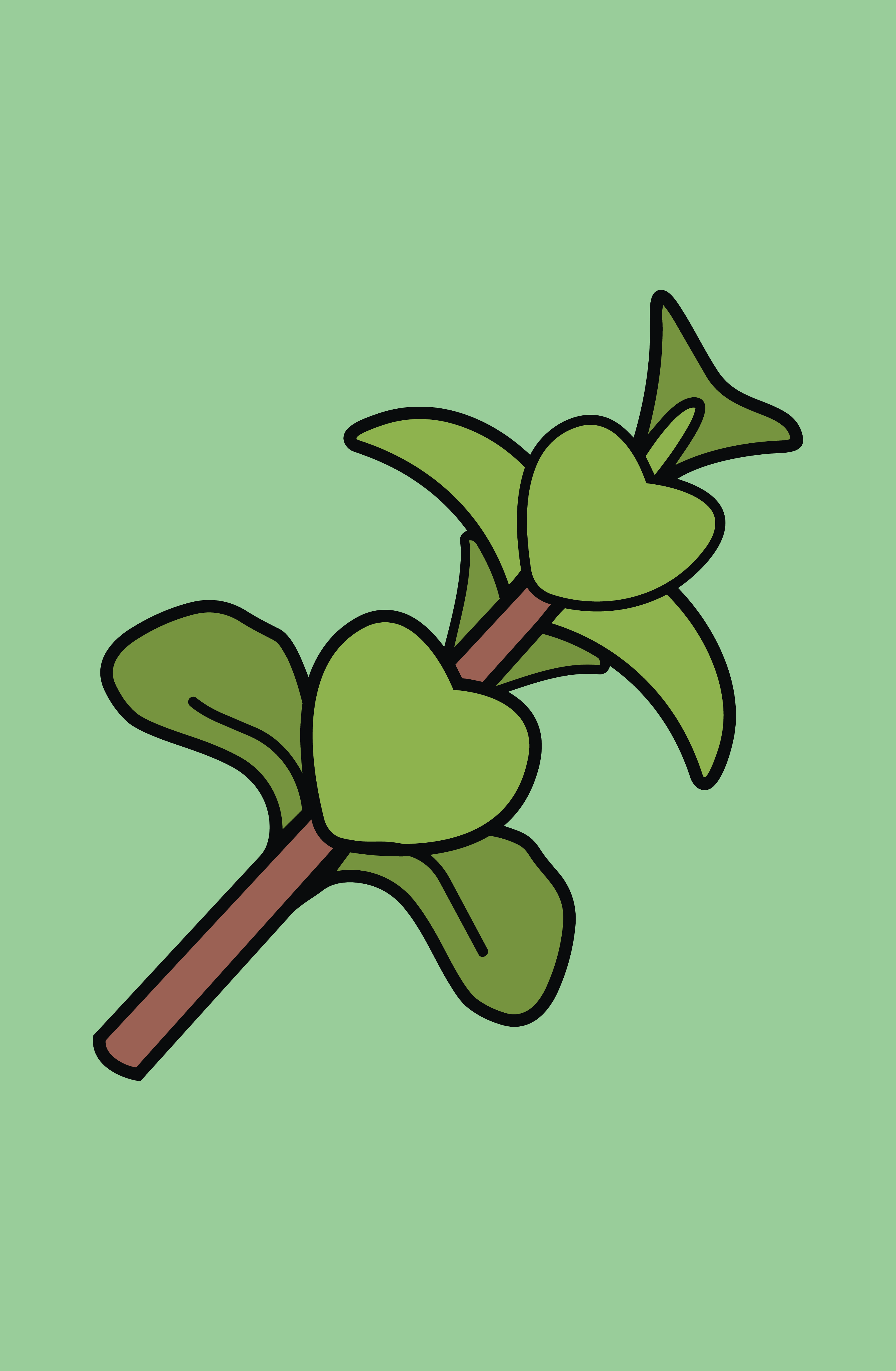 Dwarf Jade