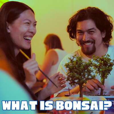 What Is Bonsai? Understanding the Art of Bonsai Tree Care