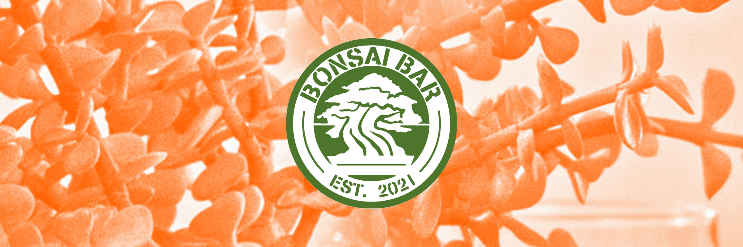Bonsai Bar's Next Level Workshops