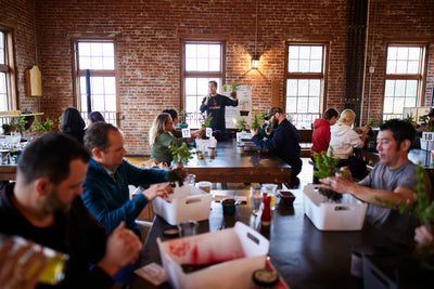 Winery Sixteen 600