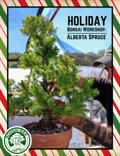 Liquid Therapy: Holiday Workshop