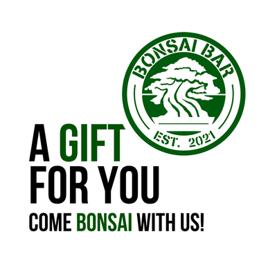 Workshop Ticket- Gift Card