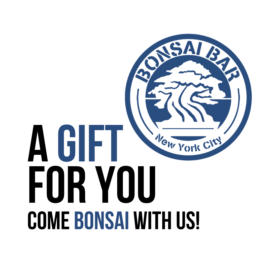 Premium Ticket - Gift Card