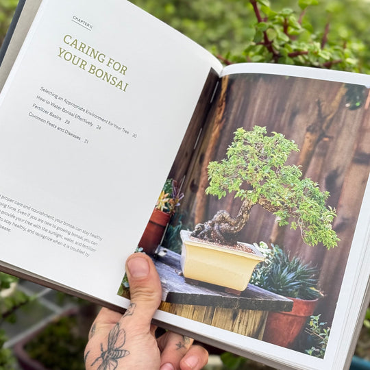 bonsai tree care book The Little Book of Bonsai An Easy Guide to Caring for Your Bonsai Tree