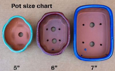 Pot size chart showing three different pot sizes with measurements on a brown background.