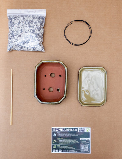 DIY 6” Repotting Kit