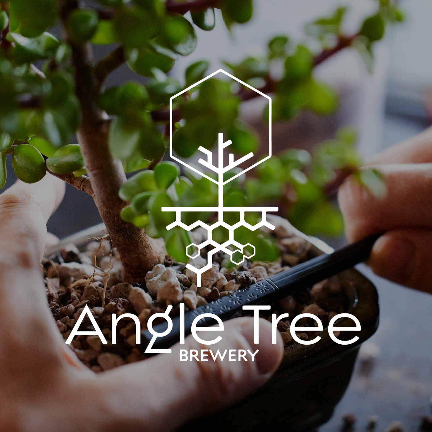Angle Tree Brewery