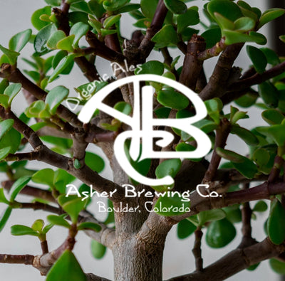Asher Brewing