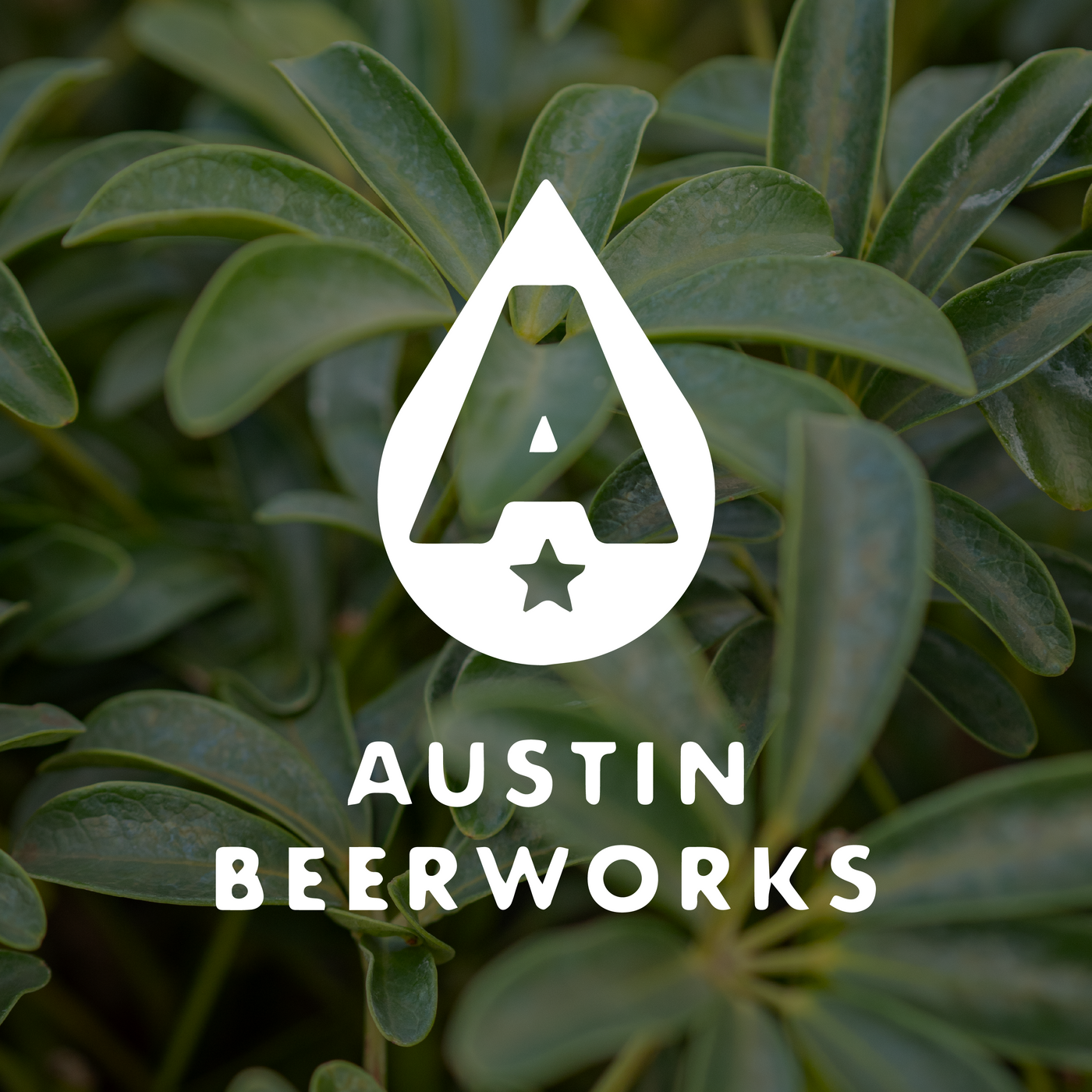 Austin Beerworks - Sprinkle Valley