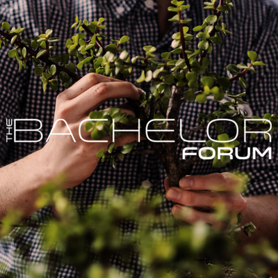 The Bachelor Forum