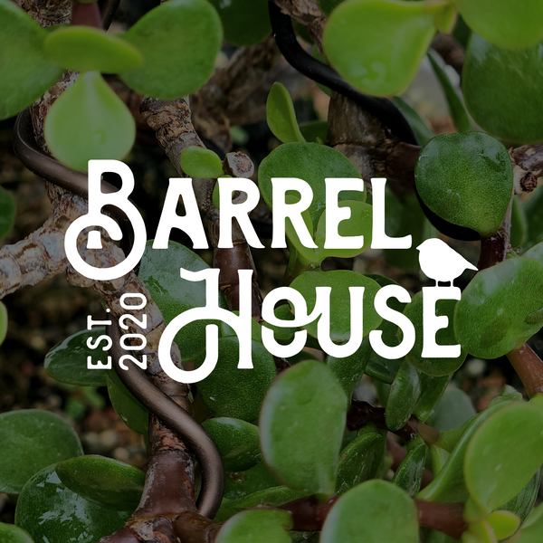 Connecticut Bonsai Bar