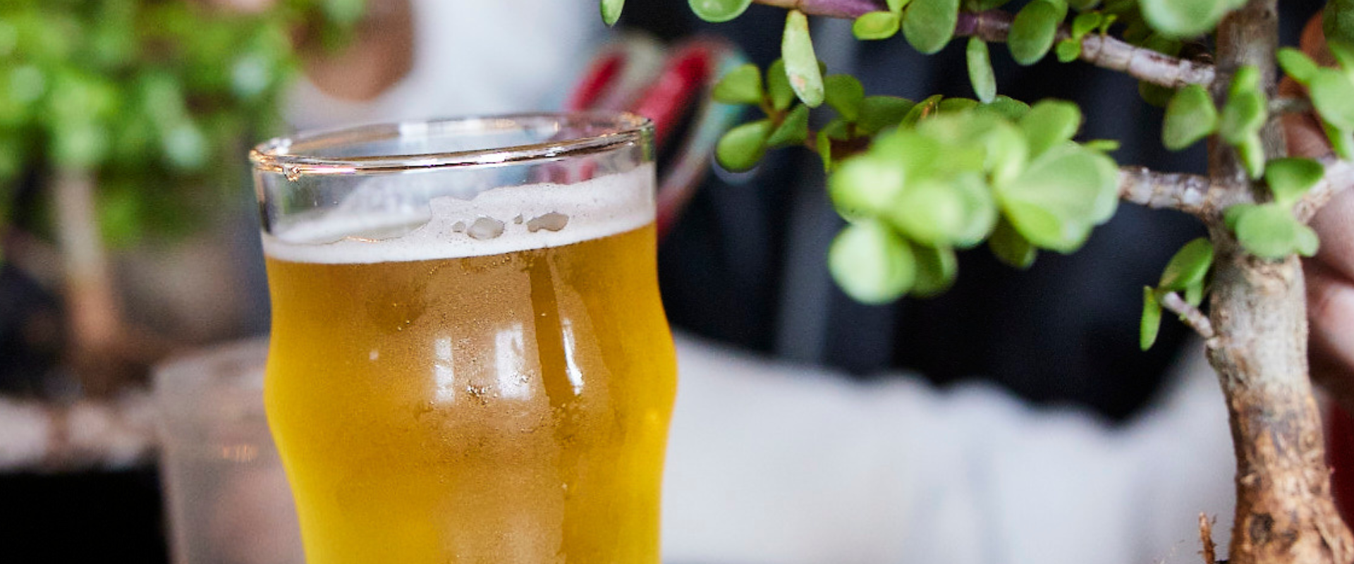 Private Events Bonsai Bar