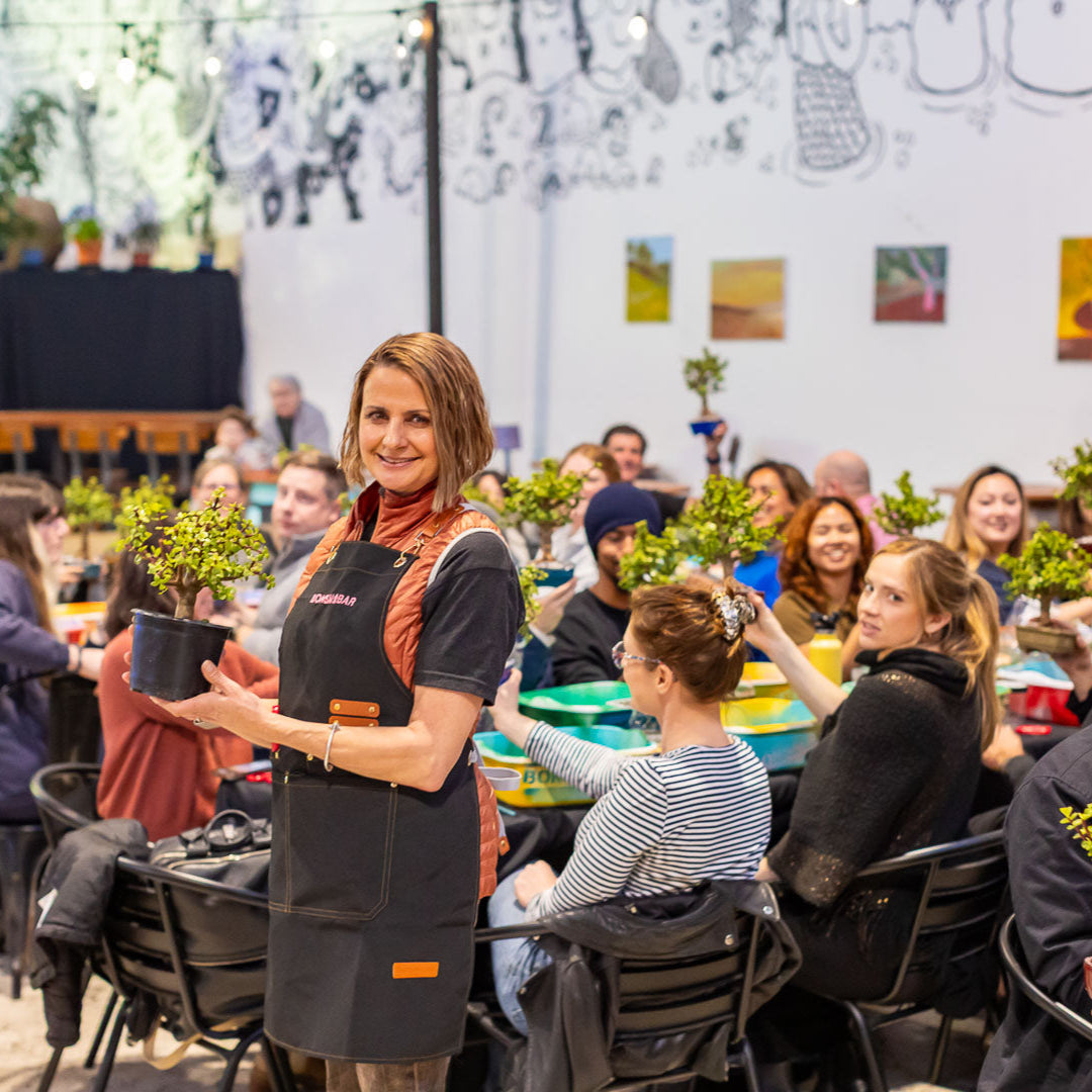 Park Ave Kitchen Cafe