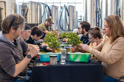 Sanitas Brewing Company - Englewood