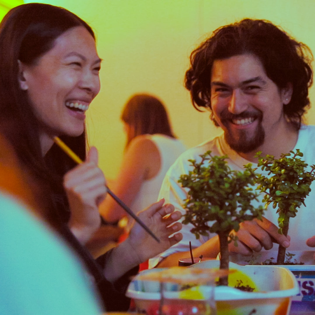 Jersey Cyclone Brewing Company – Bonsai Bar