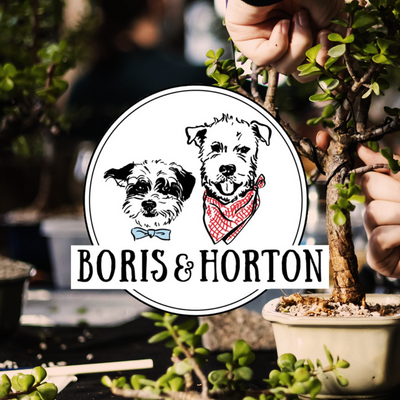 Boris & Horton Dog Cafe