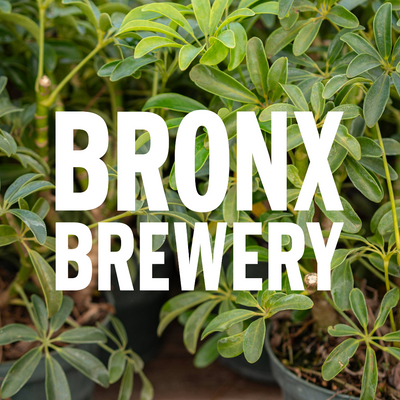 The Bronx Brewery - The Bronx