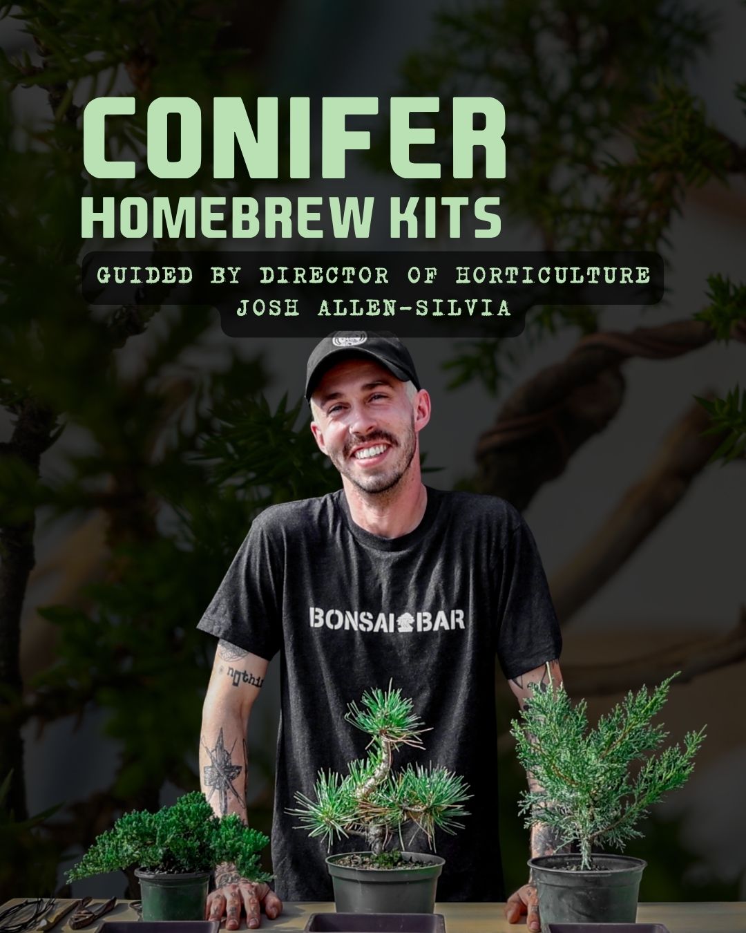 Conifer Homebrew Kit: Black Pine – Bonsai Bar