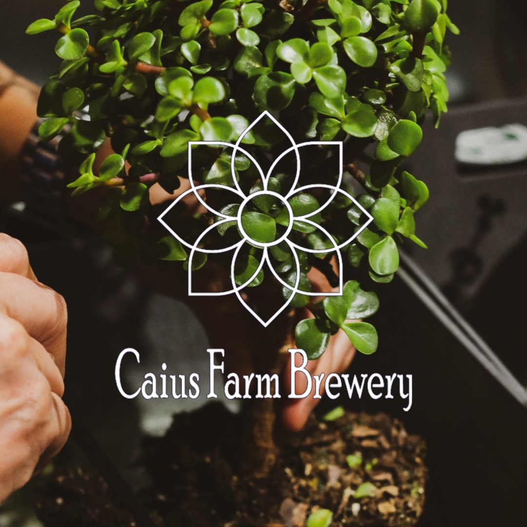 Caius Farm Brewery