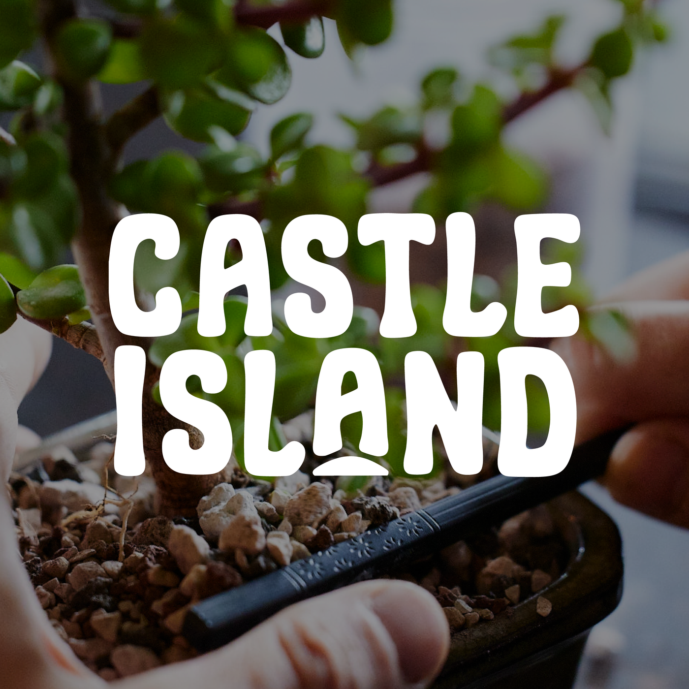 Castle Island Brewing Co.