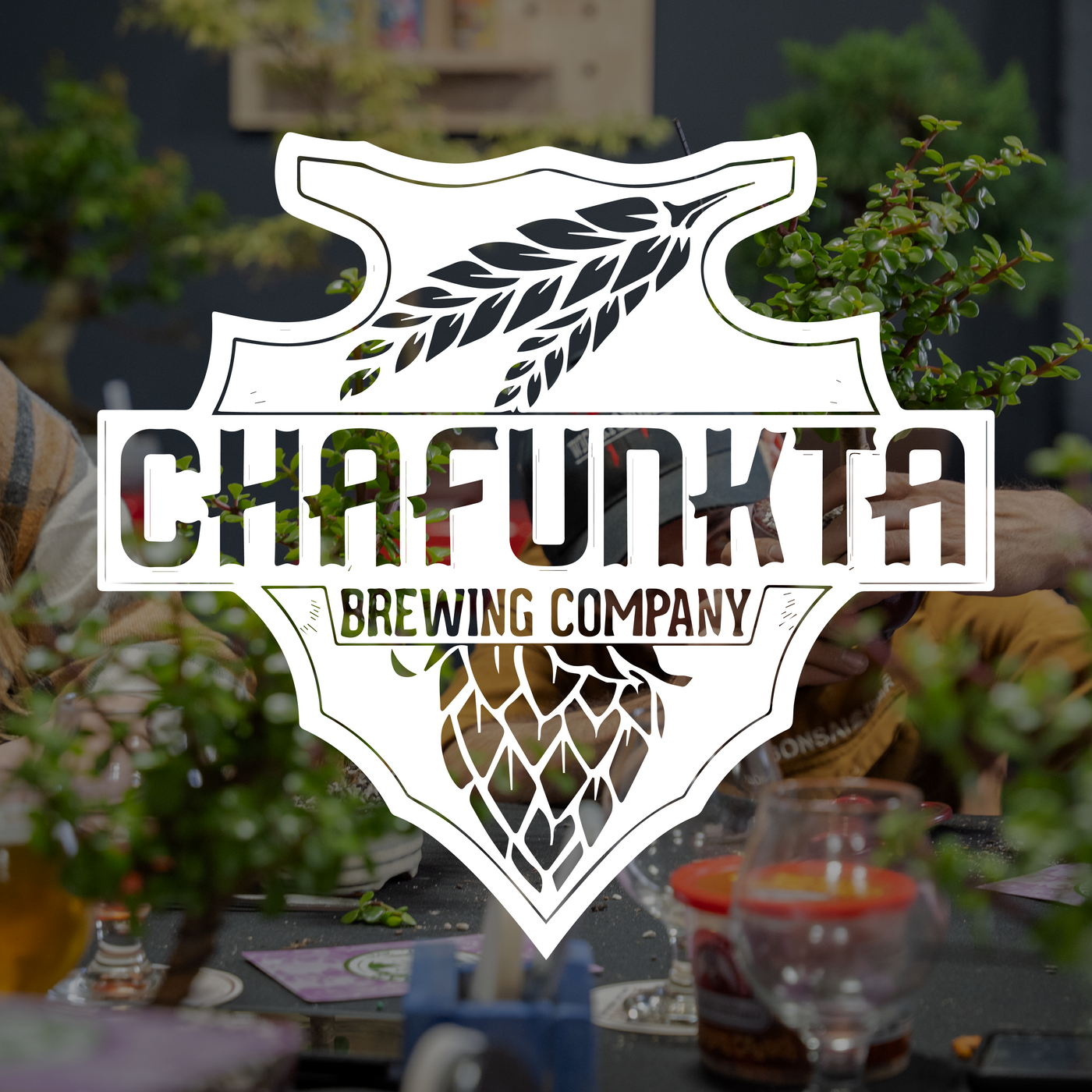 Chafunkta Brewing Company