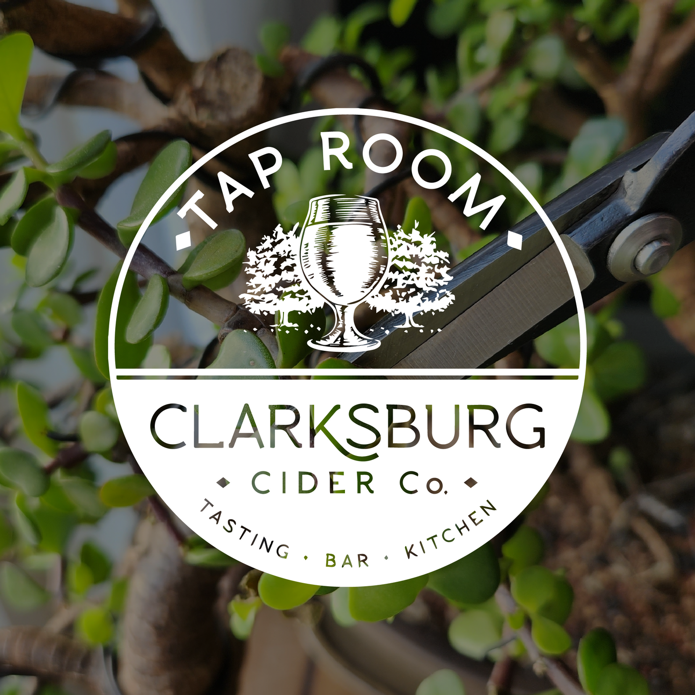 Clarksburg Cider Co.