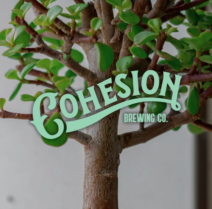 Cohesion Brewing
