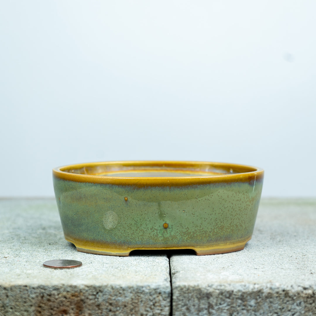 Oval Pot