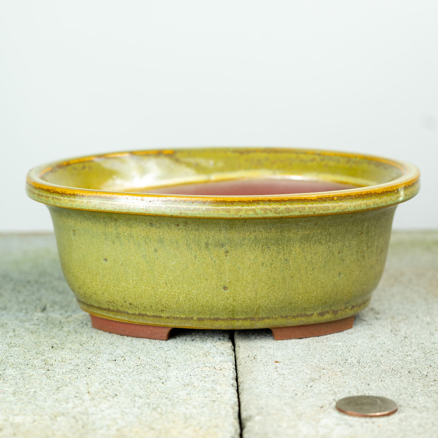 A more muted greenish yellow ceramic pot from willow bonsai