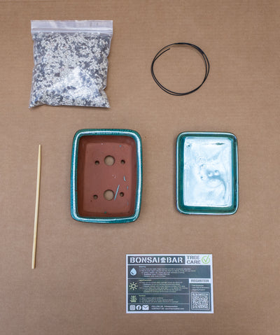 DIY 6” Repotting Kit