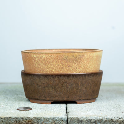 Oval Pot |  Willow Bonsai Ceramics