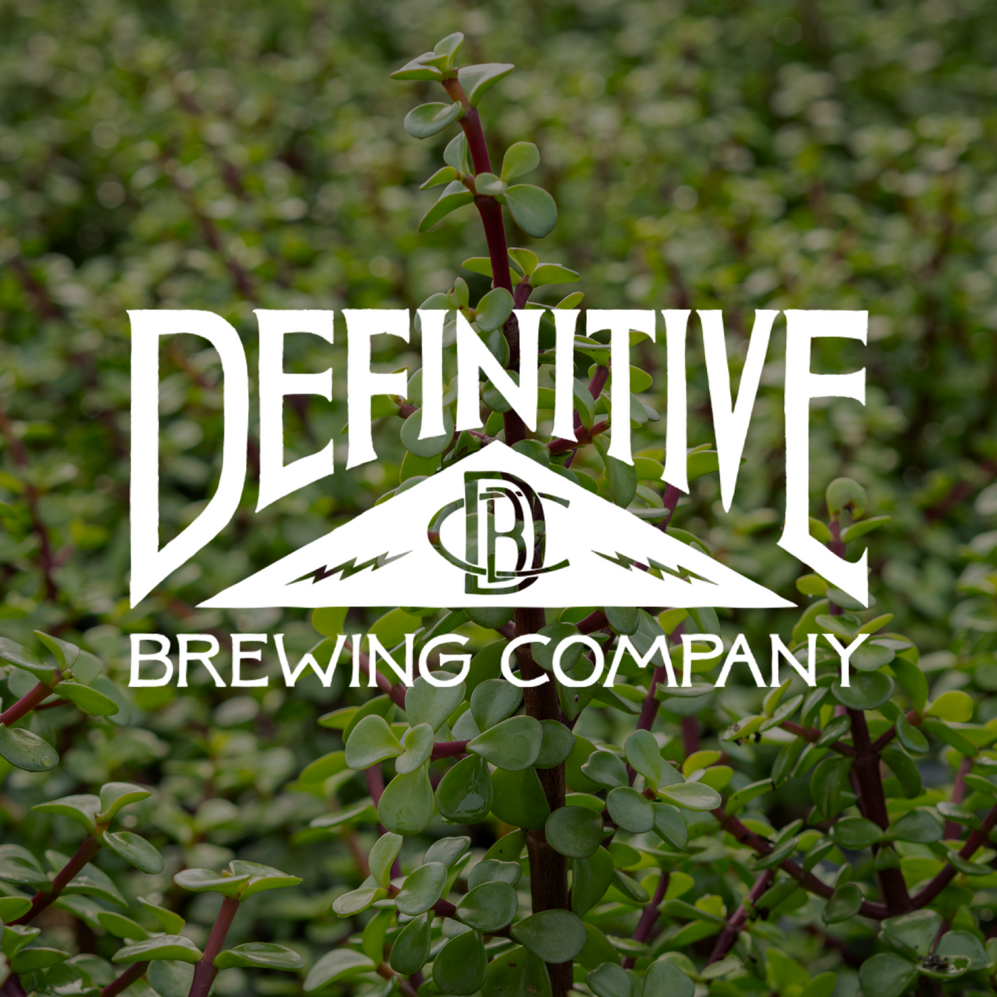 Definitive Brewing Company