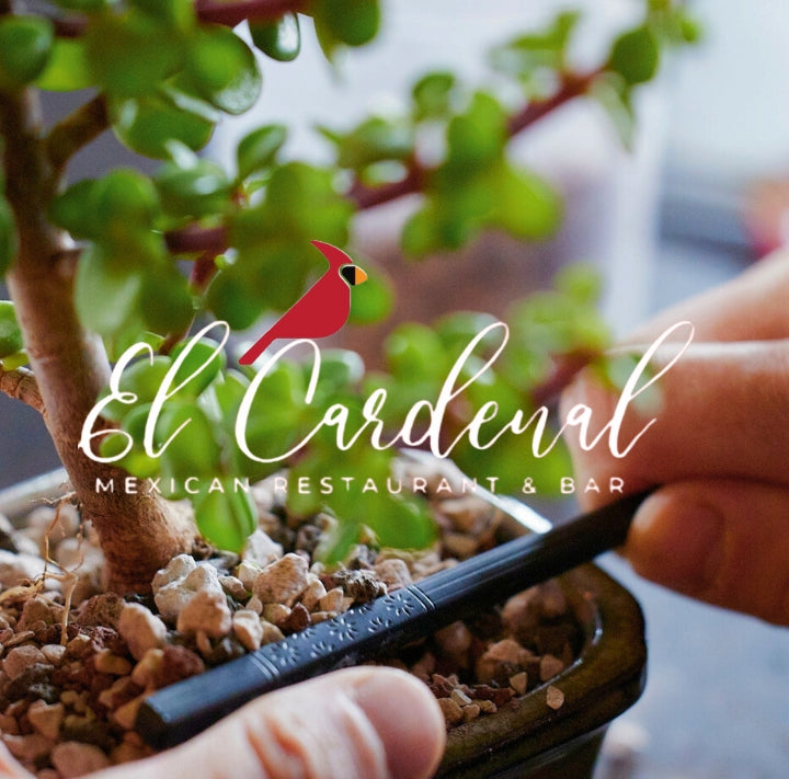 El Cardenal
