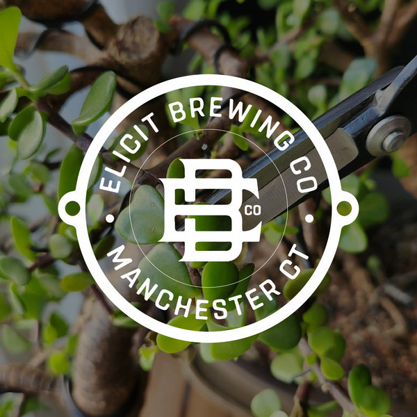 Connecticut Bonsai Bar