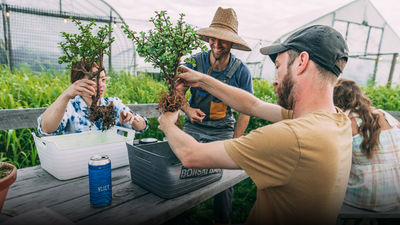 Parleaux Beer Lab