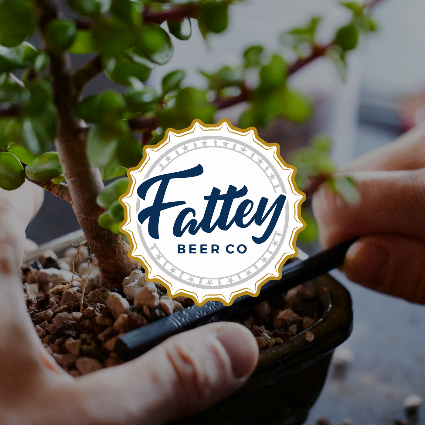 Fattey Beer Company - Rochester