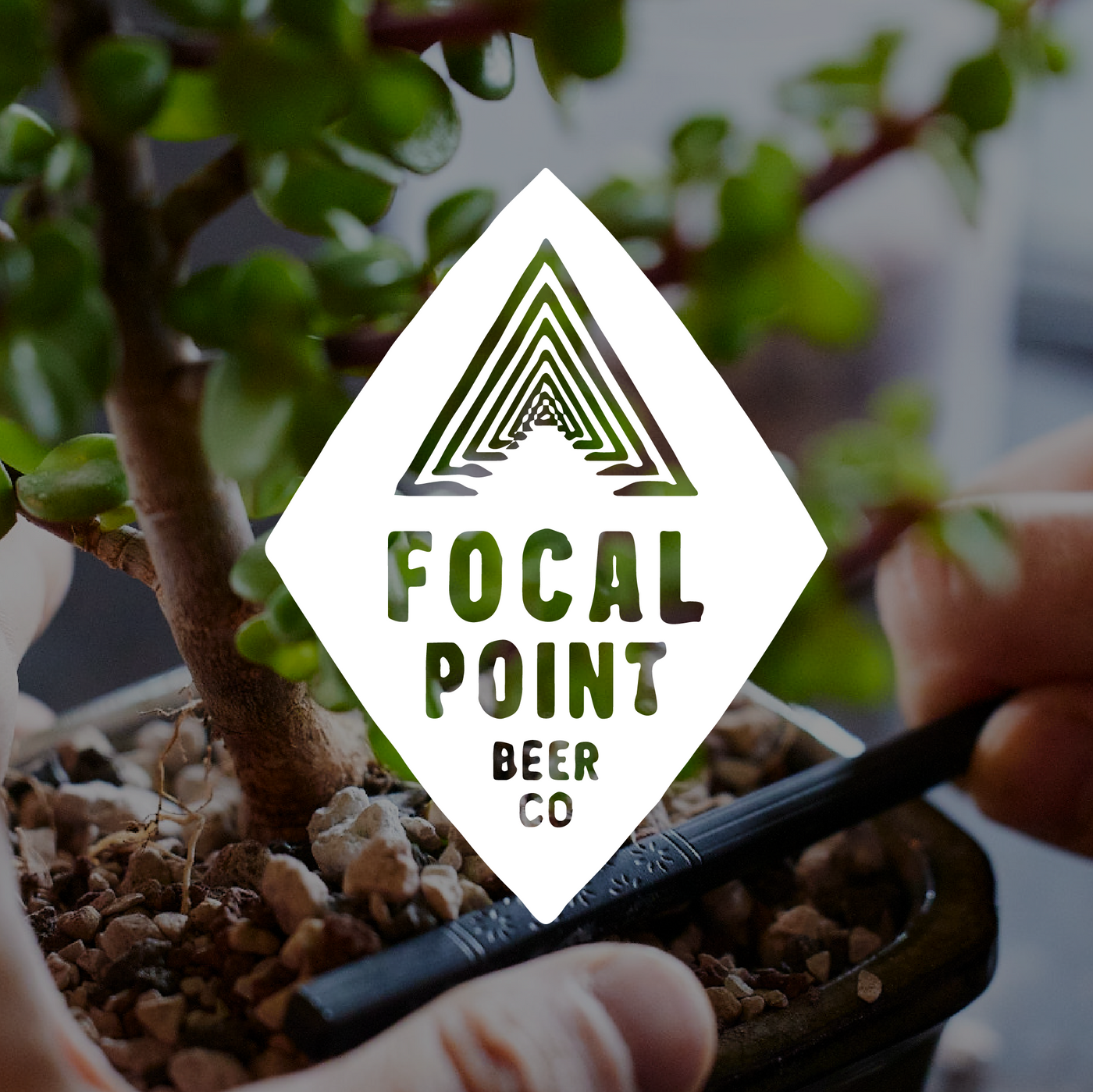 Focal Point Beer Co