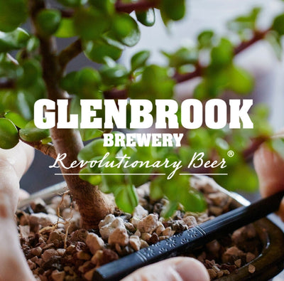 Glenbrook Brewery