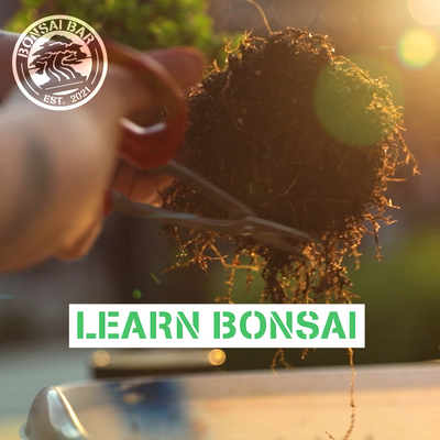 Sunnylands Center & Gardens