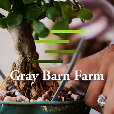 Gray Barn Farm