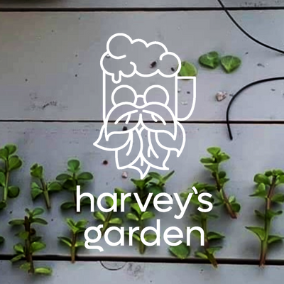 Harvey's Garden