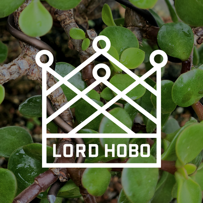Lord Hobo Brewing Co. - Woburn