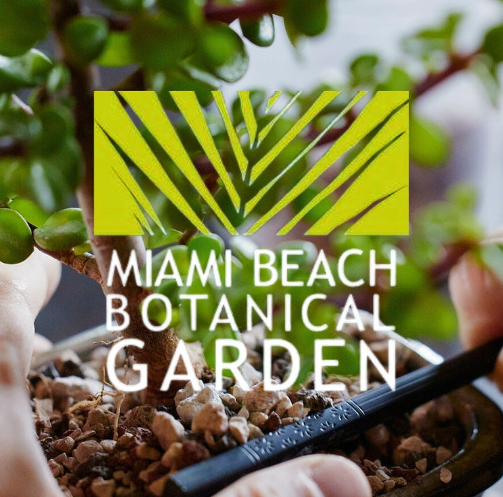 Miami Beach Botanical Garden